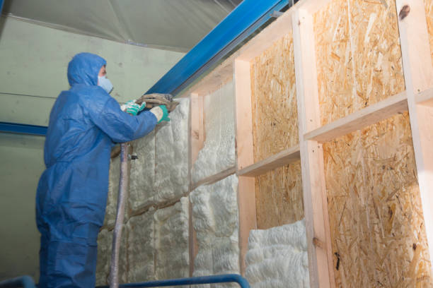 Best Soundproof Insulation Installation  in Bessemer City, NC