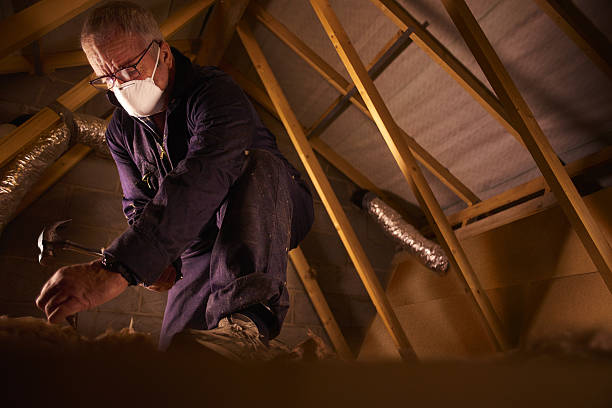Best Insulation Replacement Services  in Bessemer City, NC